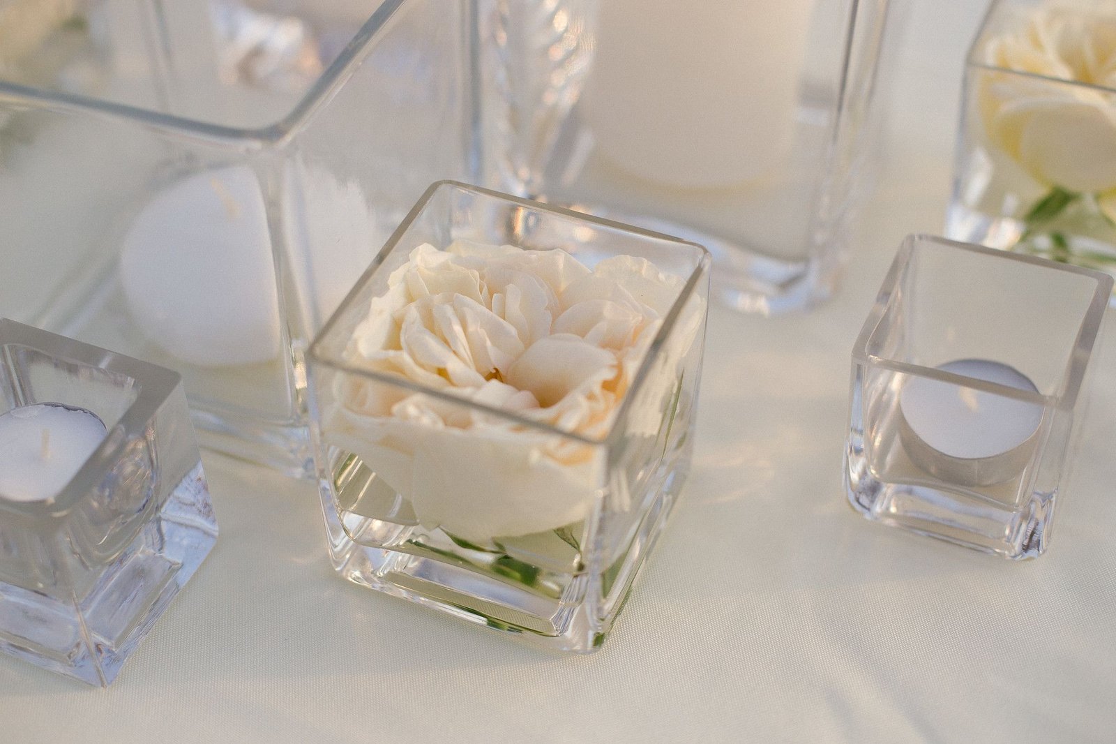Garden Rose in small vase at wedding venue Sunset da Mona Lisa. Wedding Design by Cabo Wedding Services.